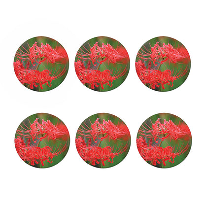Red Japanese Amaryllis Print Coaster Set