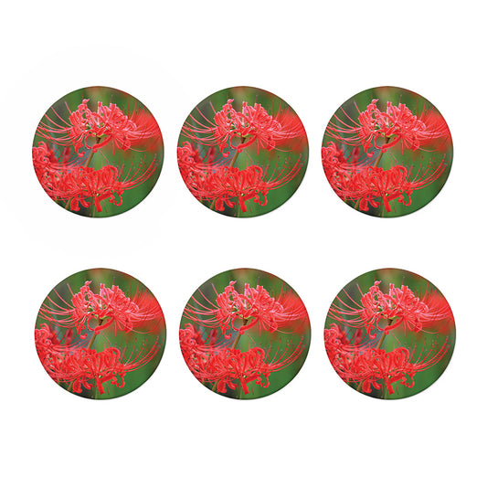 Red Japanese Amaryllis Print Coaster Set