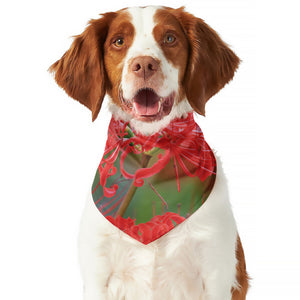 Red Japanese Amaryllis Print Dog Bandana