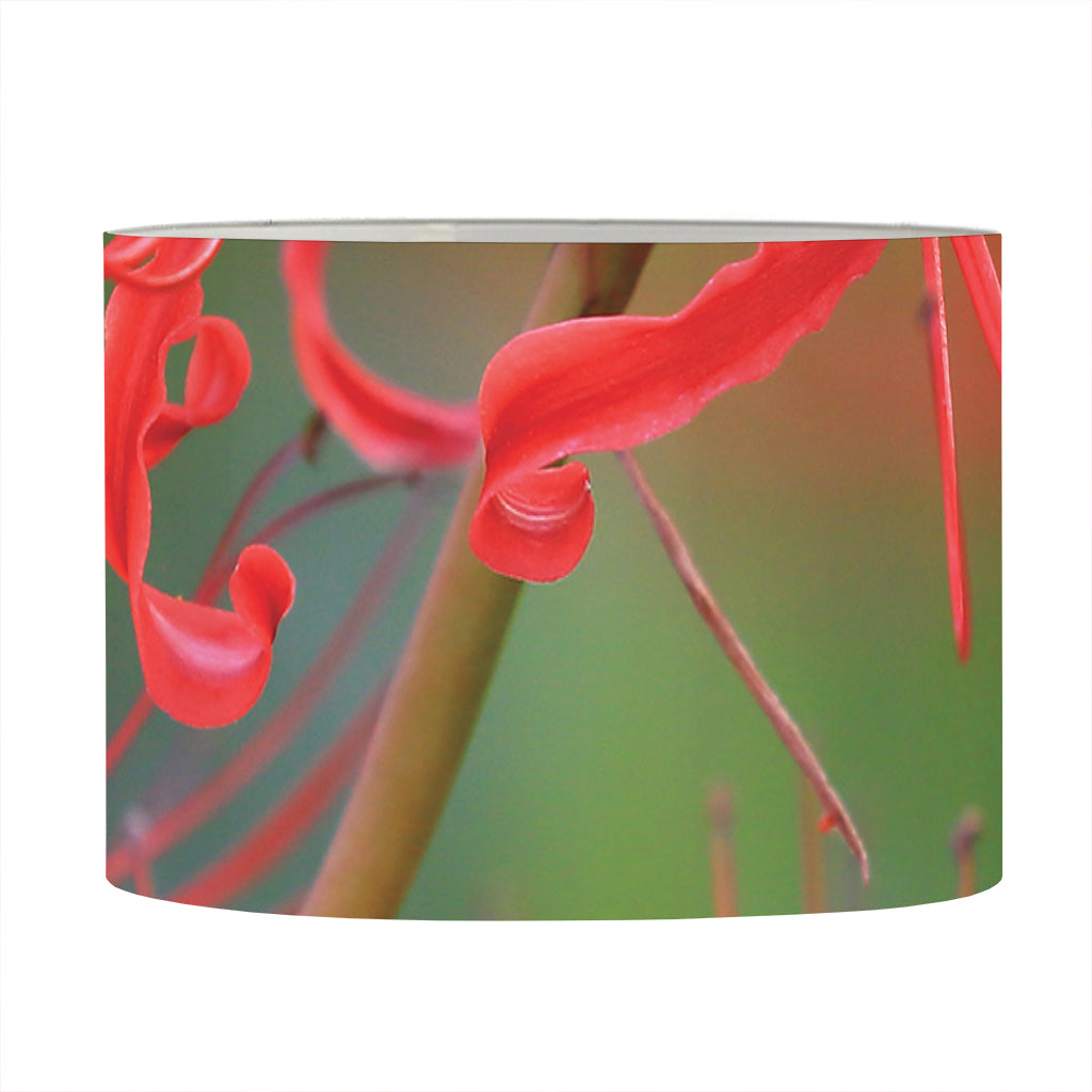 Red Japanese Amaryllis Print Drum Lamp Shade