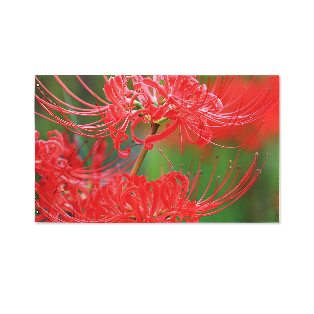 Red Japanese Amaryllis Print Polyester Flag