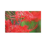 Red Japanese Amaryllis Print Polyester Flag