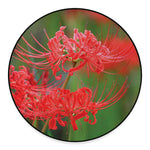 Red Japanese Amaryllis Print Round Floor Mat