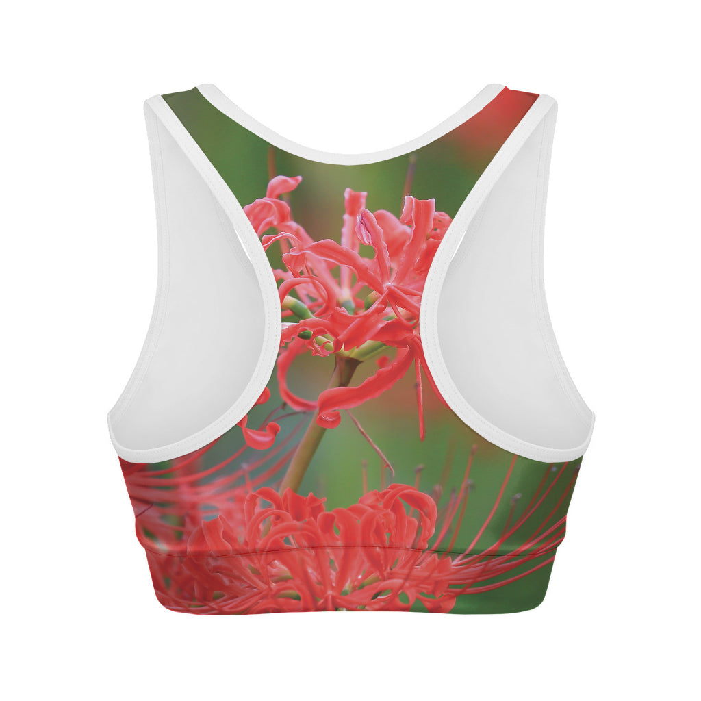 Red Japanese Amaryllis Print Women's Sports Bra