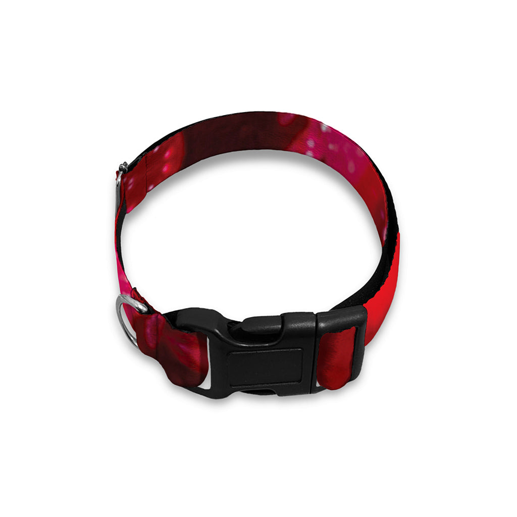 Red Kaleidoscope Print Dog Collar