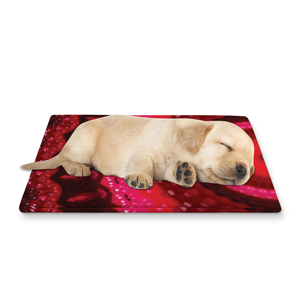 Red Kaleidoscope Print Pet Cooling Mat Cover