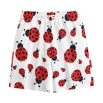Red Ladybug Pattern Print Cotton Shorts