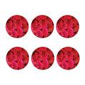 Red Leaf Print Coaster Set