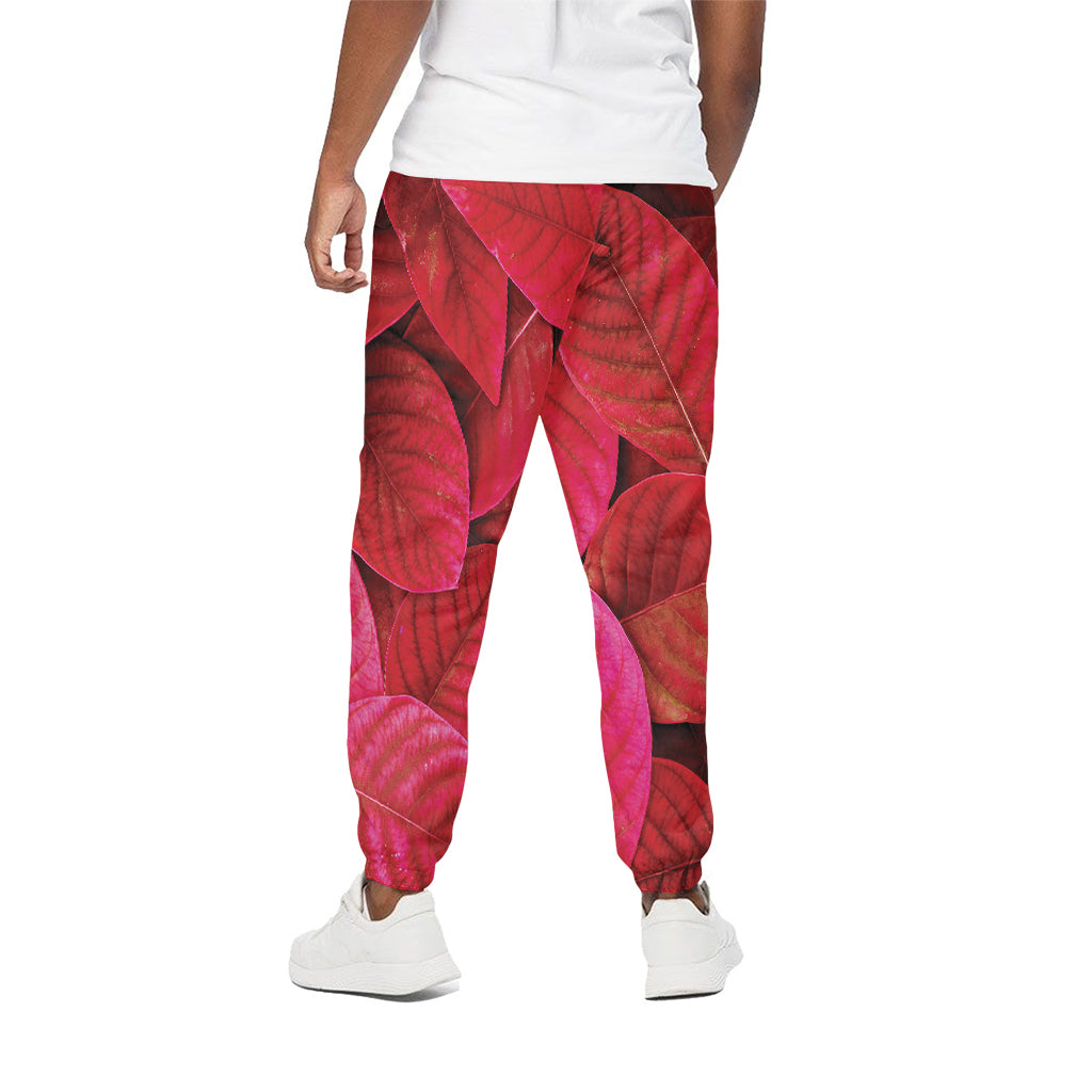 Red Leaf Print Cotton Pants