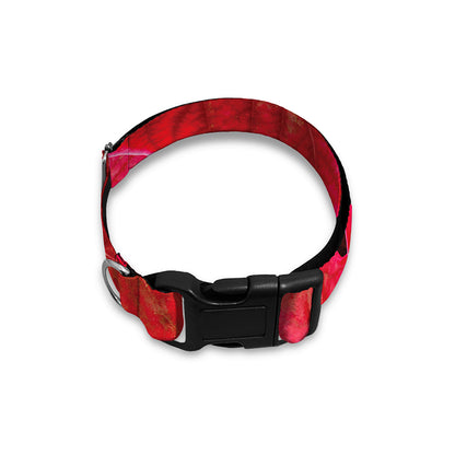 Red Leaf Print Dog Collar