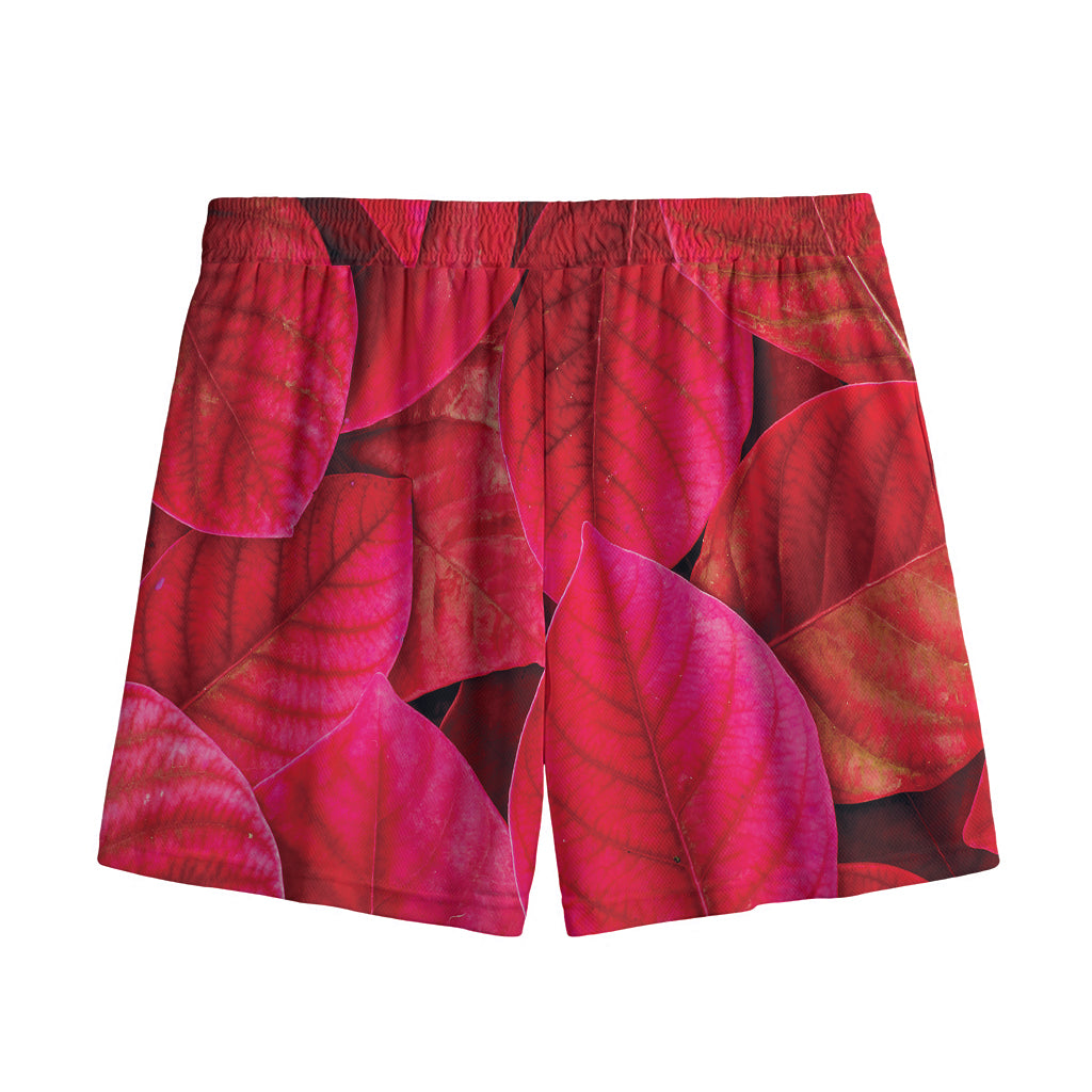 Red Leaf Print Mesh Shorts