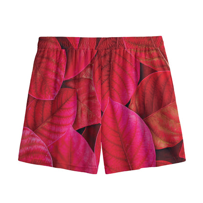 Red Leaf Print Mesh Shorts