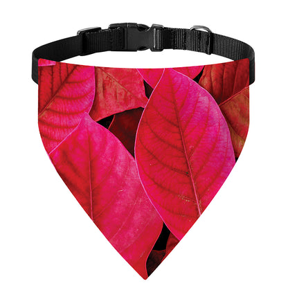 Red Leaf Print Over The Collar Dog Bandana