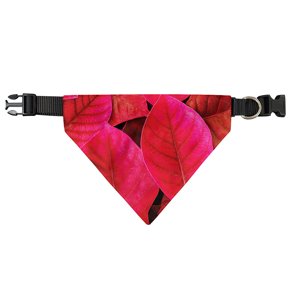 Red Leaf Print Over The Collar Dog Bandana