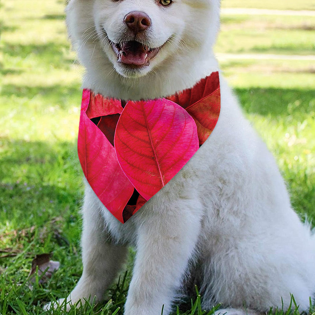 Red Leaf Print Over The Collar Dog Bandana
