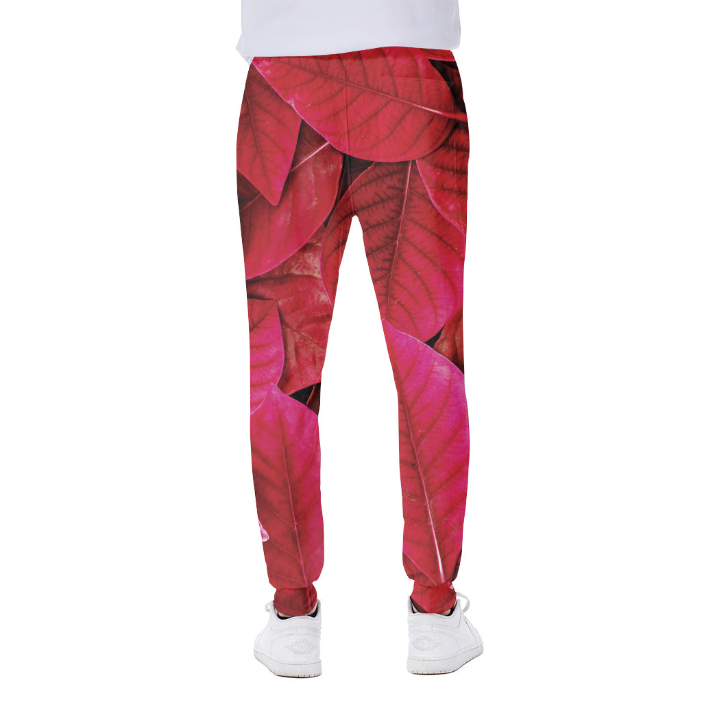 Red Leaf Print Scuba Joggers