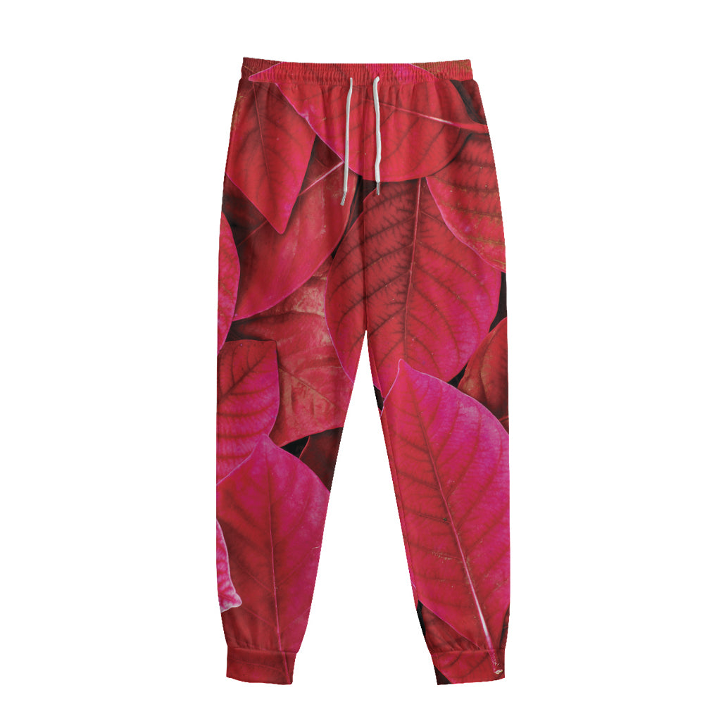 Red Leaf Print Sweatpants