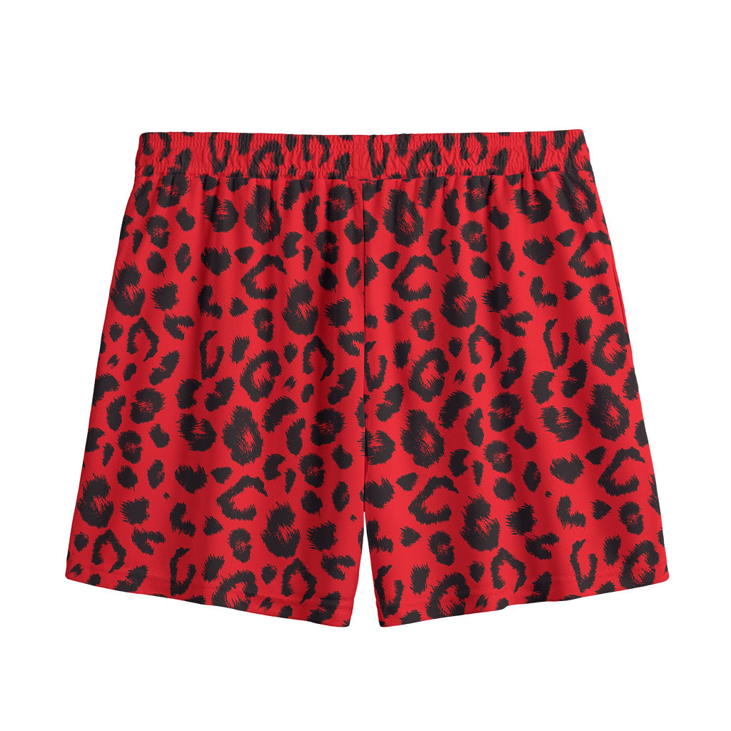 Red Leopard Print Mesh Shorts