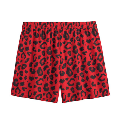 Red Leopard Print Mesh Shorts