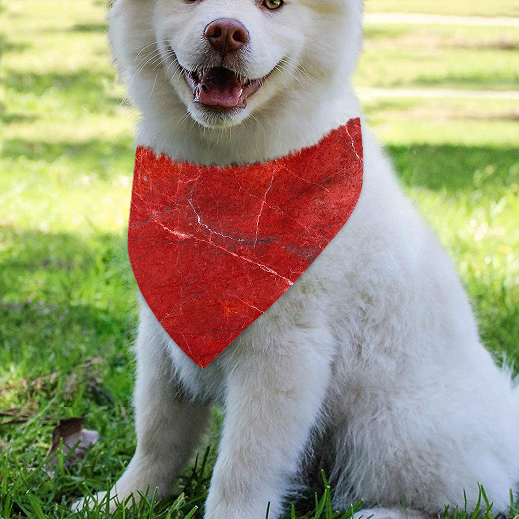 Red Marble Print Over The Collar Dog Bandana