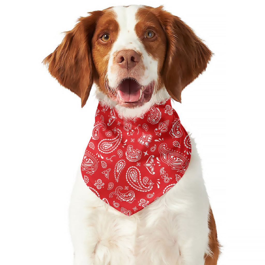 Red Paisley Bandana Pattern Print Dog Bandana
