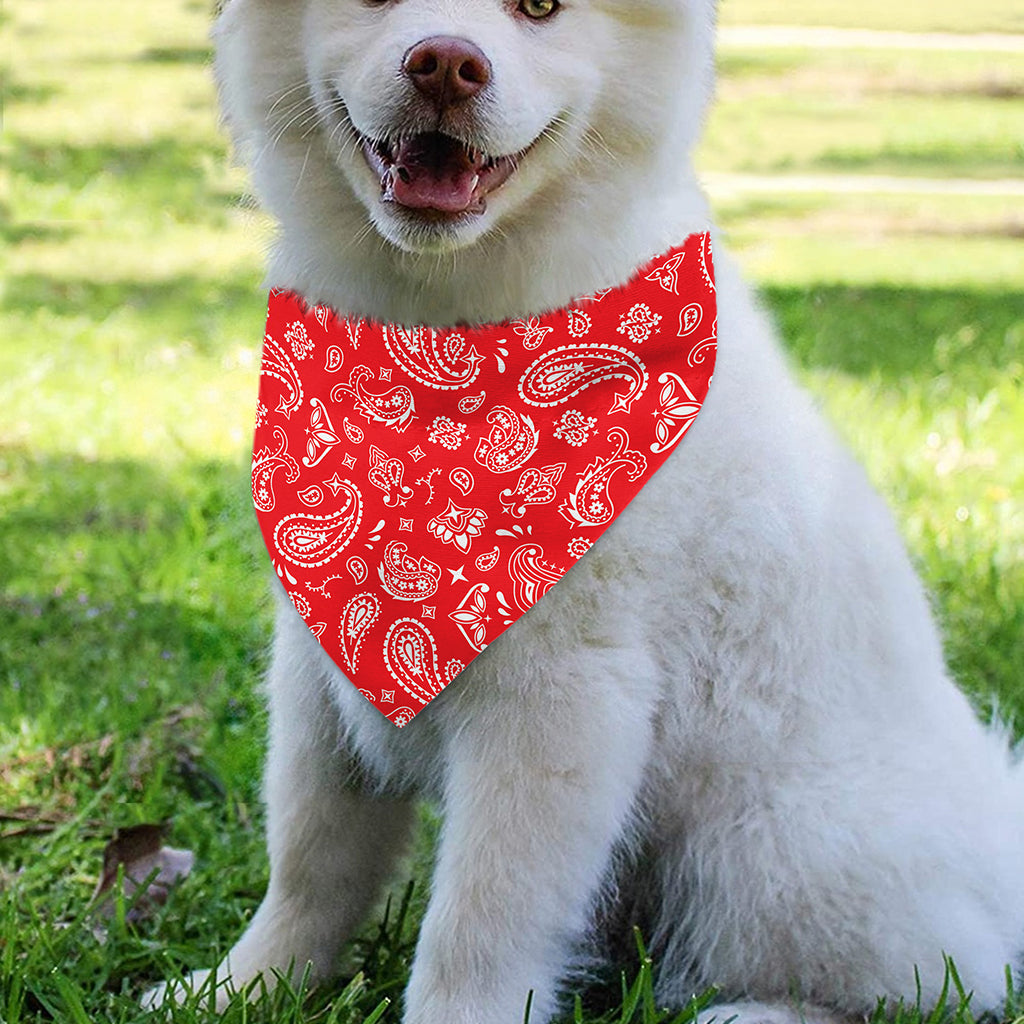 Red Paisley Bandana Pattern Print Over The Collar Dog Bandana