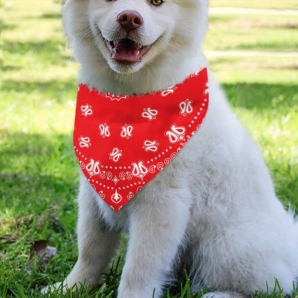Red Paisley Bandana Print Over The Collar Dog Bandana