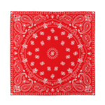 Red Paisley Bandana Print Silk Bandana