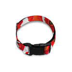 Red Poppy Pattern Print Dog Collar