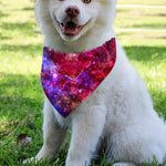 Red Purple Nebula Galaxy Space Print Over The Collar Dog Bandana