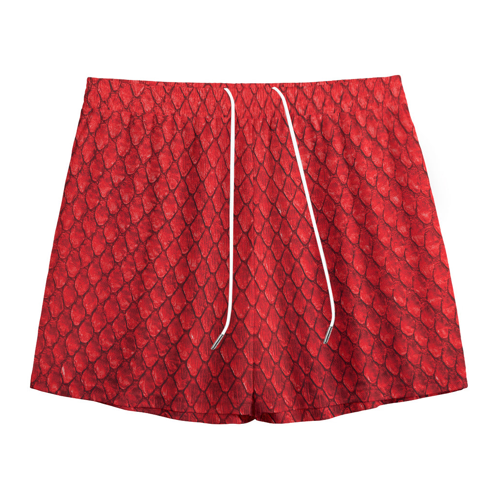 Red Python Snakeskin Print Mesh Shorts
