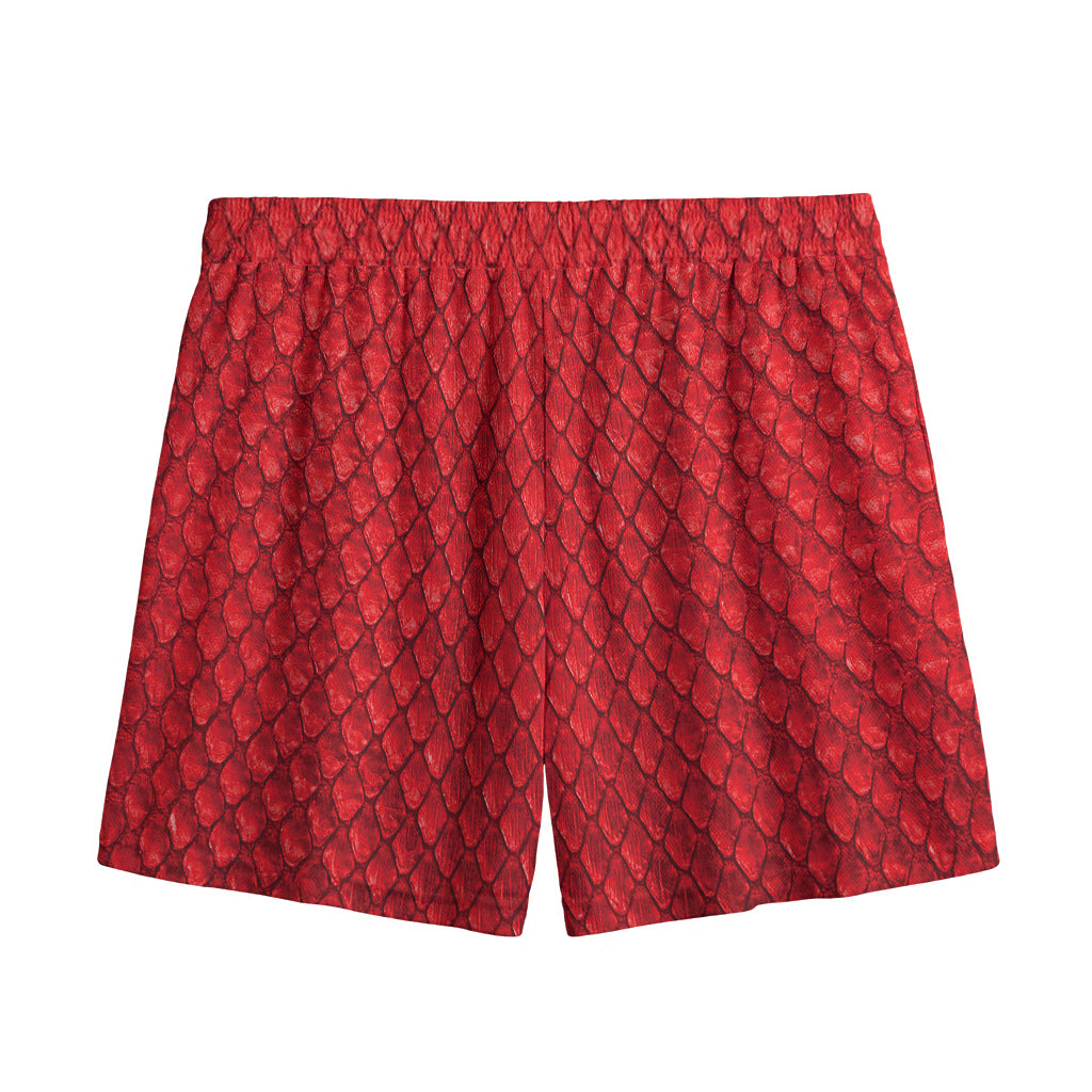 Red Python Snakeskin Print Mesh Shorts
