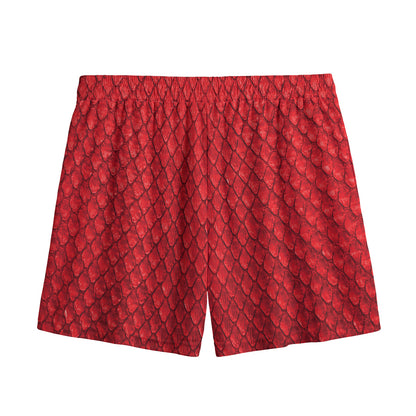 Red Python Snakeskin Print Mesh Shorts