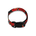 Red Ripe Tomatoes Pattern Print Dog Collar