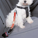 Red Rising Sun Samurai Print Dog Seat Belt