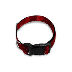 Red Stardust Universe Galaxy Space Print Dog Collar