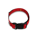 Red Strawberry Print Dog Collar