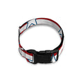 Red Striped USA Star Pattern Print Dog Collar