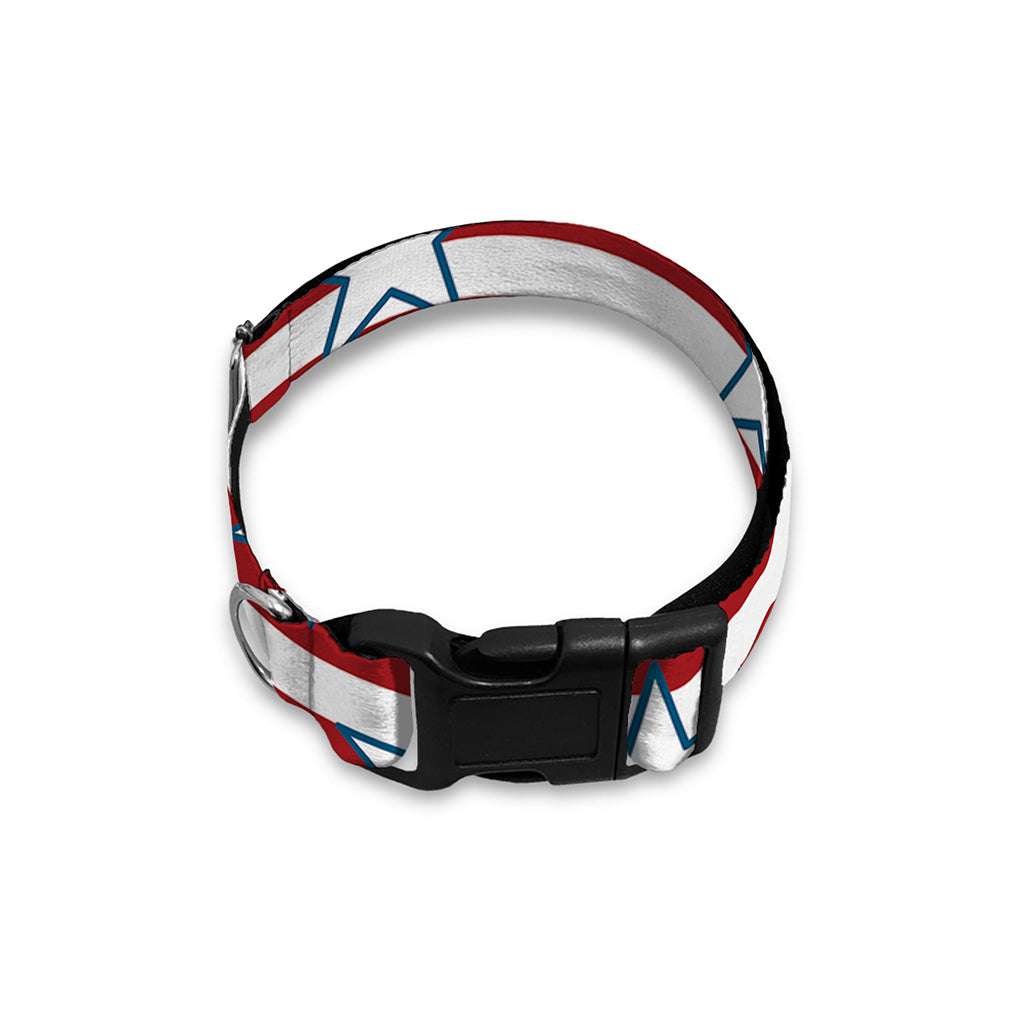 Red Striped USA Star Pattern Print Dog Collar