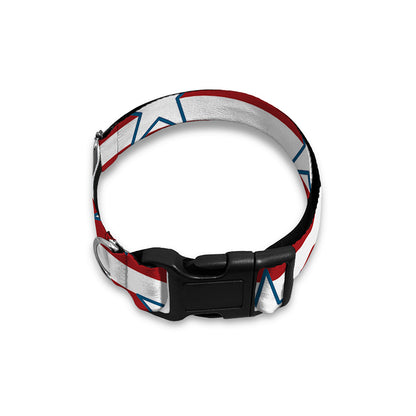 Red Striped USA Star Pattern Print Dog Collar