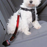 Red Sunset Samurai Print Dog Seat Belt