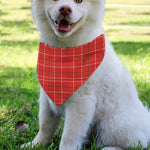 Red Tattersall Pattern Print Over The Collar Dog Bandana