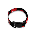 Red Tomato Pattern Print Dog Collar