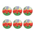 Red Tulip Print Coaster Set