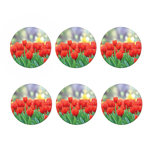 Red Tulip Print Coaster Set