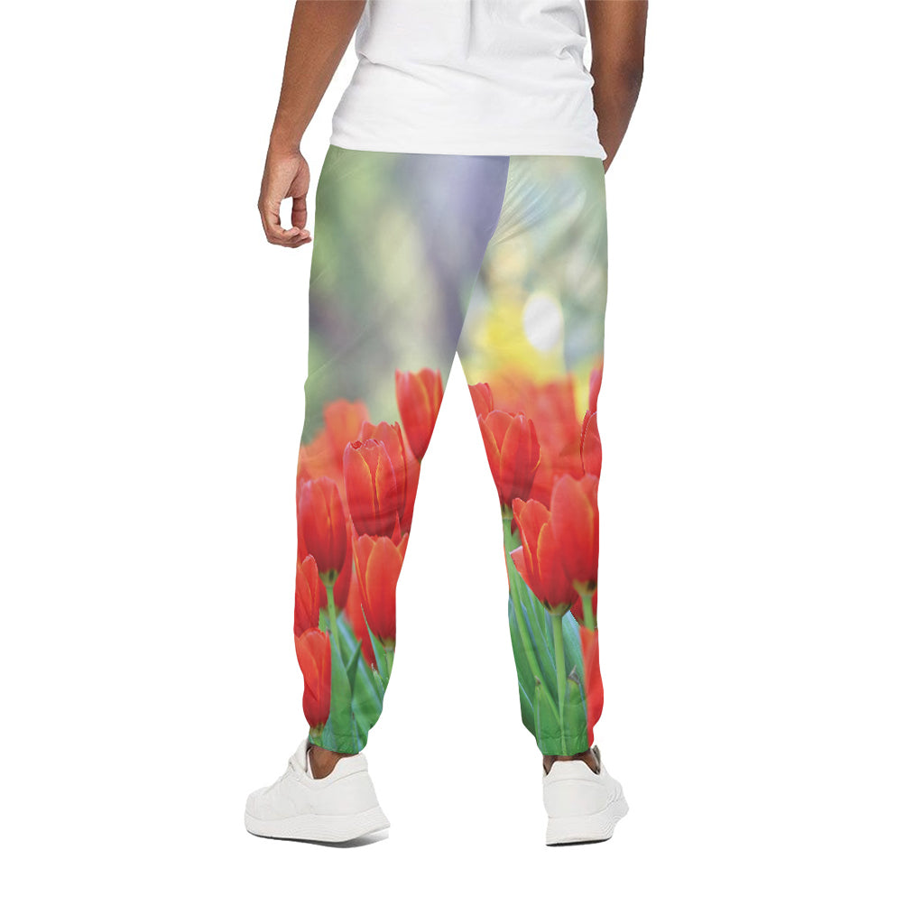 Red Tulip Print Cotton Pants