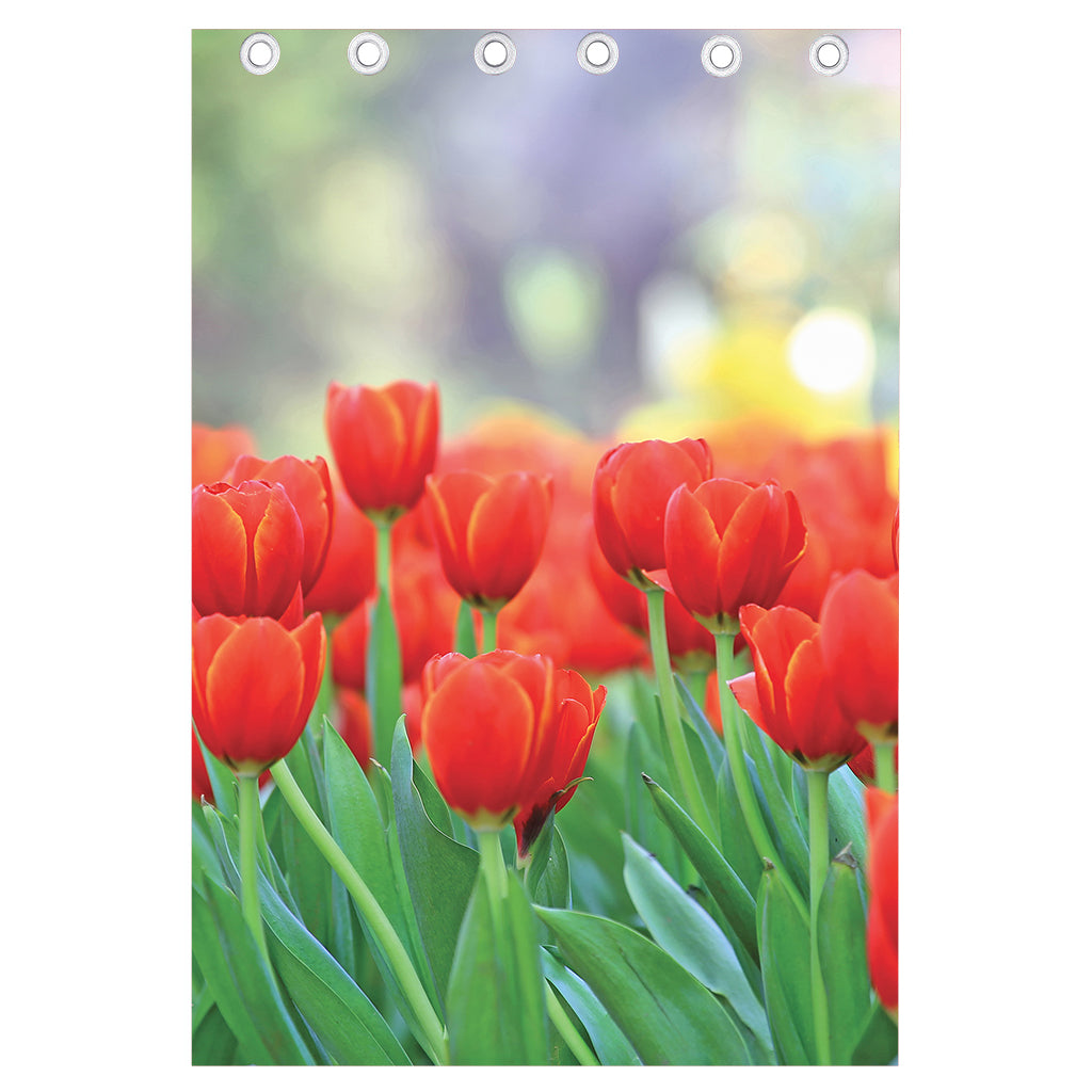 Red Tulip Print Curtain