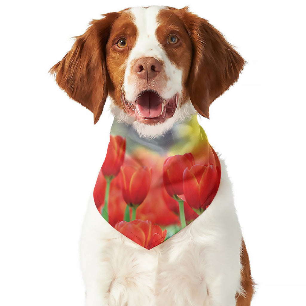 Red Tulip Print Dog Bandana