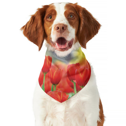 Red Tulip Print Dog Bandana