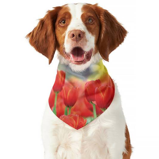 Red Tulip Print Dog Bandana